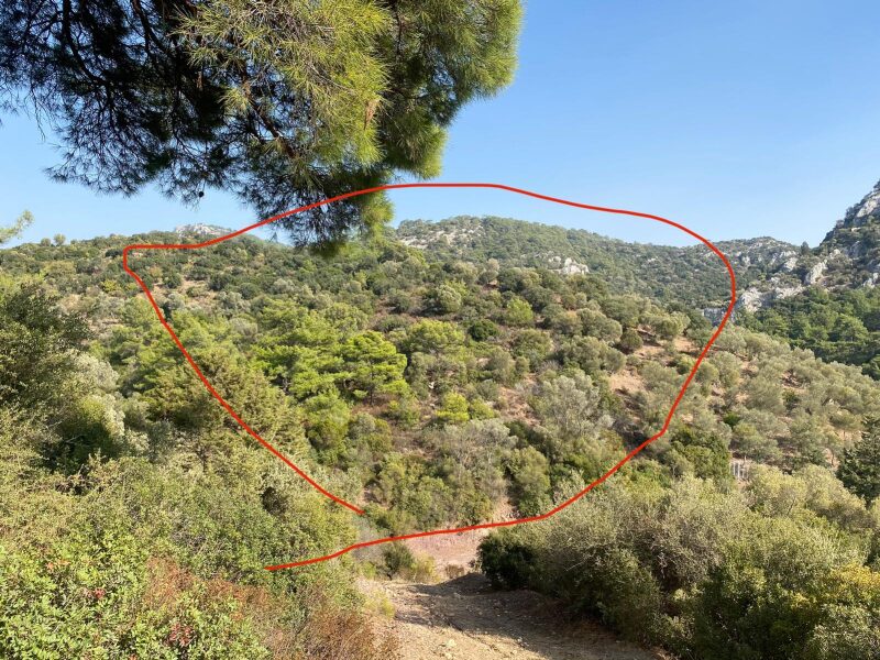 Dağbelen’de 10.573 m2 Fırsat Satılık Arsa — Yalıkavak fotoğraf 1