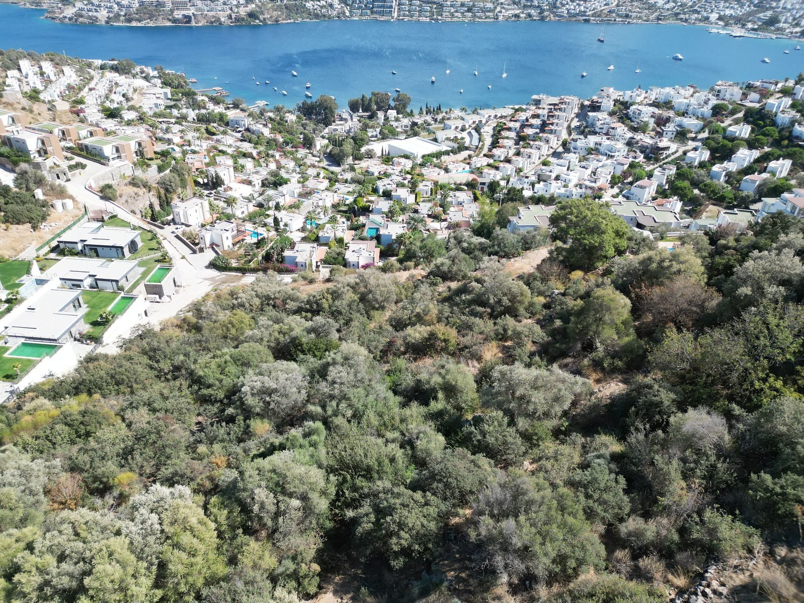 Gündoğan'da Deniz Manzaralı 4.260 m2 Satılık Arsa — Gündoğan fotoğraf 3