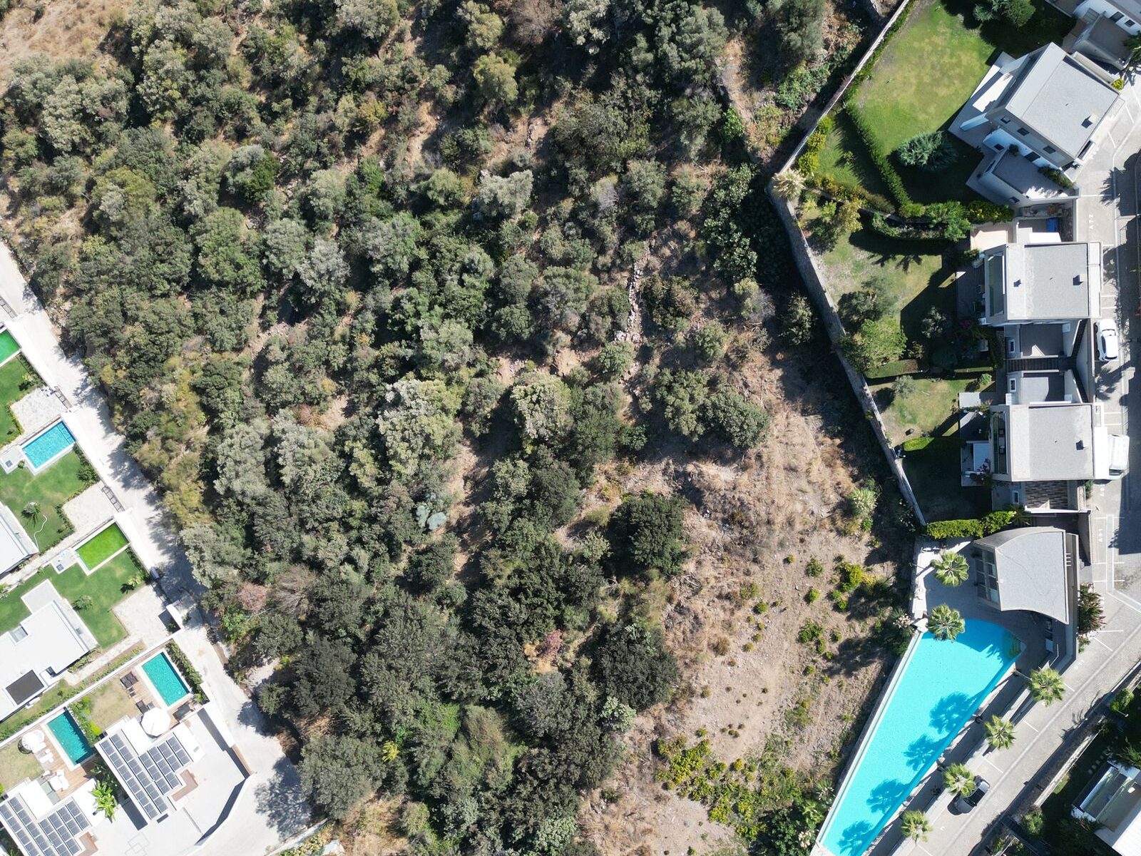 Gündoğan'da Deniz Manzaralı 4.260 m2 Satılık Arsa — Gündoğan fotoğraf 5