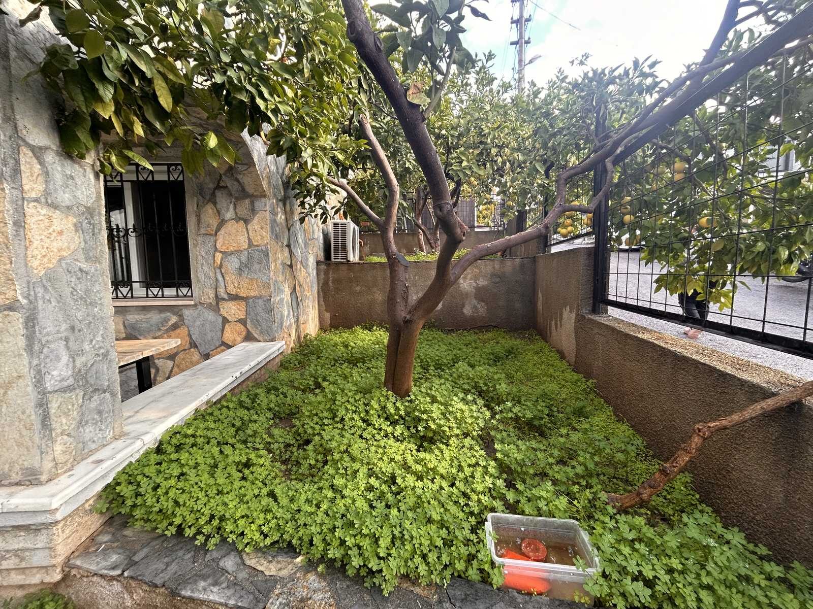 Bitez'de Bahçeli Giriş Katı 2+1 Kiralık Ev — Bitez fotoğraf 4